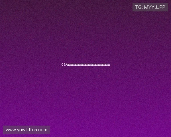 CBA新疆队新赛季重塑阵容冲击季后赛全景观察发展路径与未来前景解析