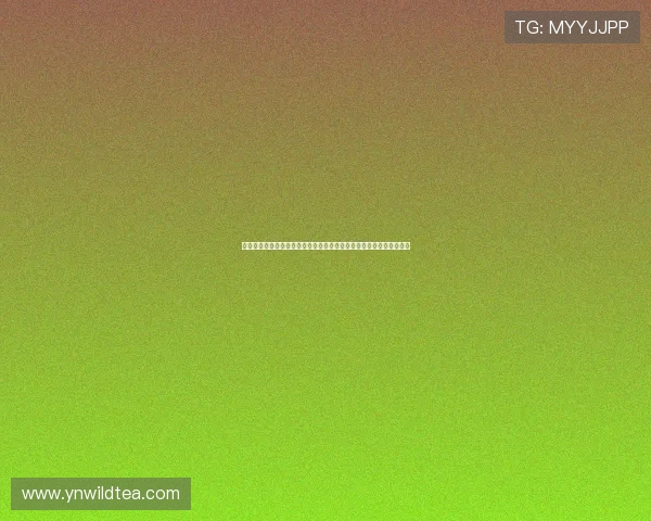 一站式权威足球赛事直播表全面呈现精彩赛程安排与即时观赛指南服务