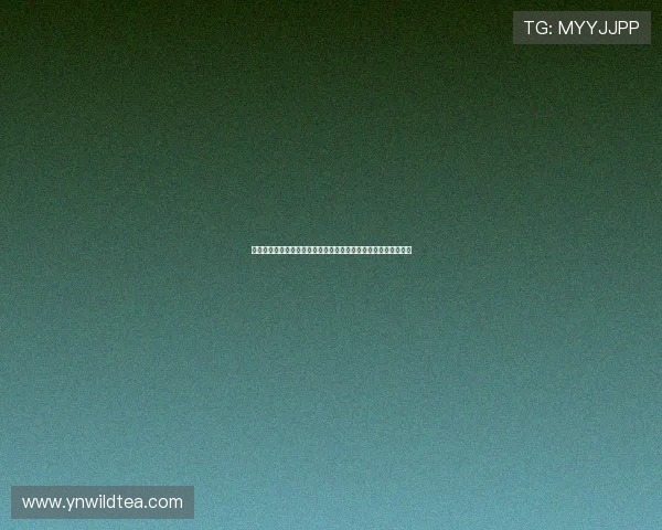 熊猫体育免费直播平台带你畅享高清赛事与多元互动体验乐趣无限