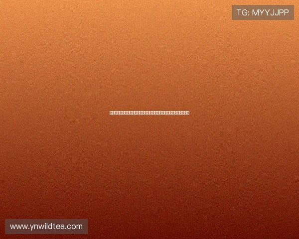 蜘蛛体育直播小狐狸带你直击赛事精彩瞬间与深度解析全程陪伴球迷互动