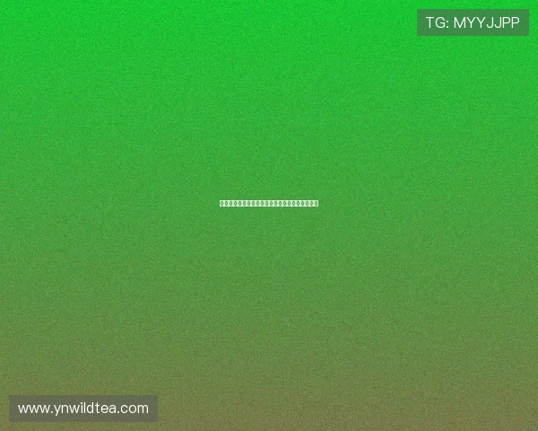 雨燕体育免费直播平台助你畅享各大赛事精彩瞬间