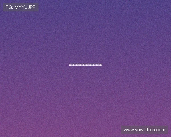 《粤语解说足球游戏实况玩法技巧与精彩赛事回顾》