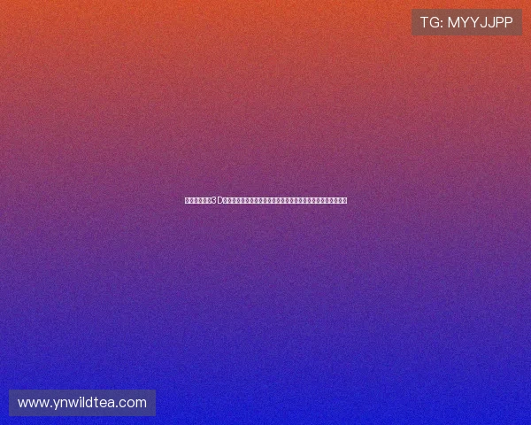 《王者荣耀》3D动画世界英雄传奇与热血战场交织的史诗级冒险故事新篇章开启