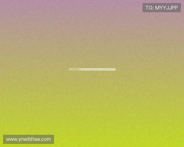 UFC319赛事全程直播官方网站最新动态与精彩赛况实时更新