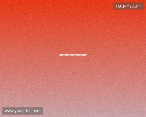 全程聚焦精彩排球赛事现场直播与赛场精彩瞬间解析