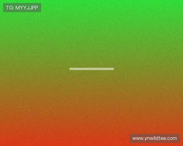 维来直播间独家揭秘:最新科技产品深度解析与互动体验等你来!