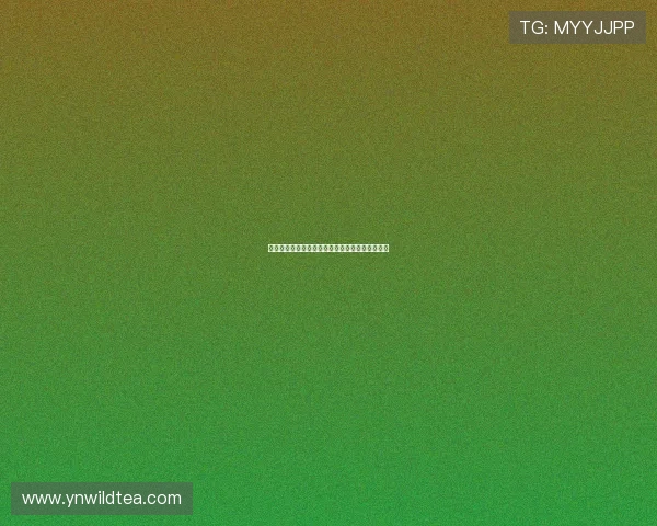 高清看球直播在线观看畅享极速体育赛事精彩瞬间